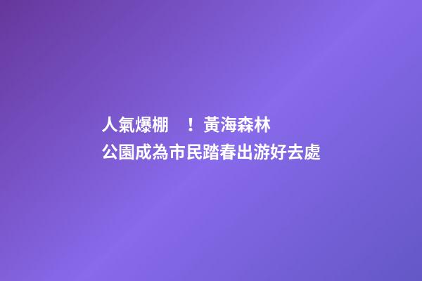 人氣爆棚！黃海森林公園成為市民踏春出游好去處